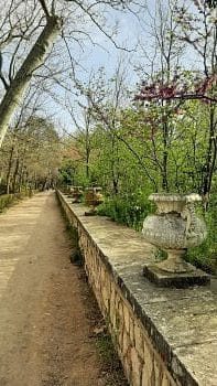 3 Jardim do Principe - Aranjuez