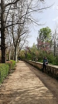 5 Jardim do Principe - Aranjuez